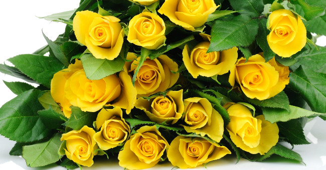 К чему дарят желтые розы